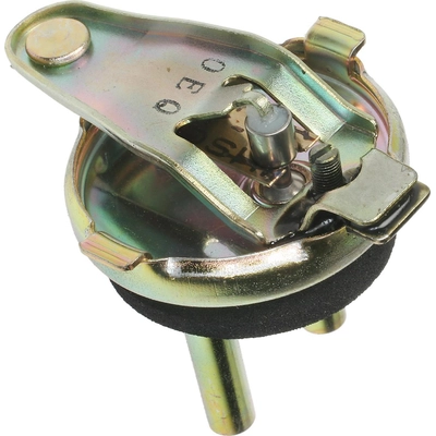 Air Cleaner Temperature Sensor by BLUE STREAK (HYGRADE MOTOR) - ATS31 pa4