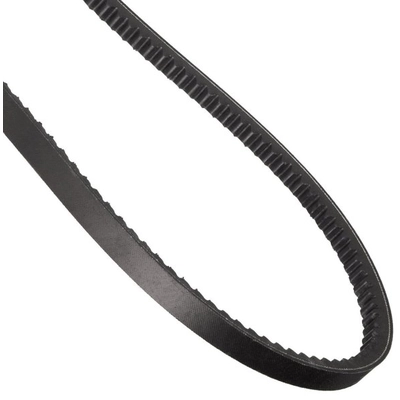 CONTINENTAL - 17461 - V-Groove Serpentine Belt pa1