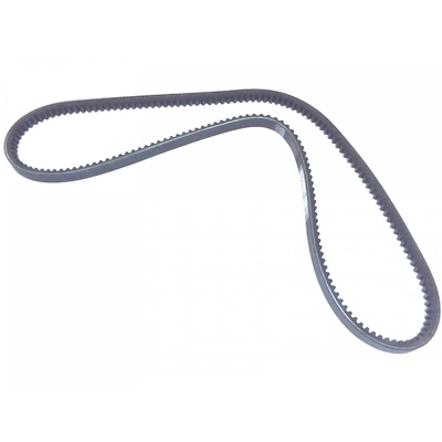 ROAD MAX - 17455AP - V-Belt pa2