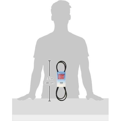 Air Conditioning And Alternator Belt by DAYCO - 15645 pa10