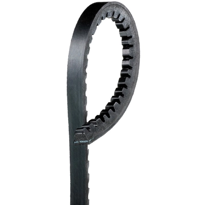 ACDELCO - 15516 - Standard High Capacity V-Belt pa1