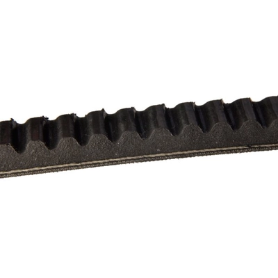 CONTINENTAL - 15481 - Serpentine Belt pa2