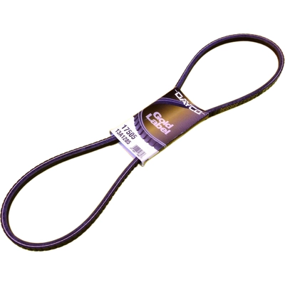 Air Conditioning And Fan Belt by DAYCO - 17505 pa14