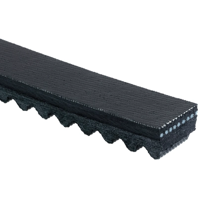 Air Conditioning And Fan Belt by GATES - TR28492 pa2