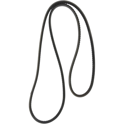 CONTINENTAL - 15371 - Accessory Drive Belt - Automotive V- Belt pa1