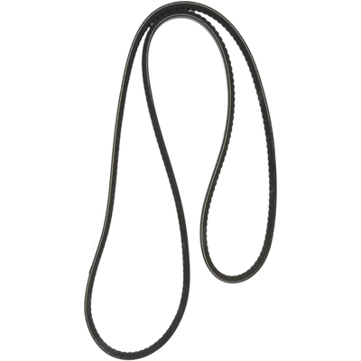 CONTINENTAL - 15491 - Air Conditioning And Idler Belt - Automotive V-Belt pa2