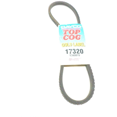 Air Conditioning And Idler Belt by DAYCO - 17320 pa10