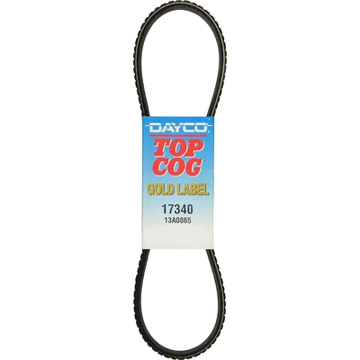 Air Conditioning And Idler Belt by DAYCO - 17340 pa20
