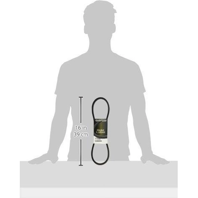 Air Conditioning And Idler Belt by DAYCO - 17343 pa16