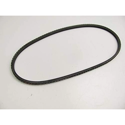 Air Conditioning And Power Steering Belt by DAYCO - 15365 pa16