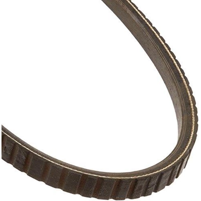 Air Conditioning And Power Steering Belt by DAYCO - 17605 pa14