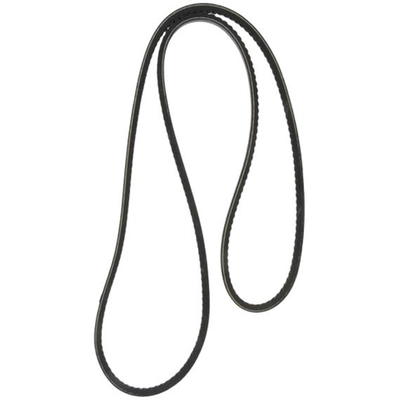 CONTINENTAL - 28423 - Serpentine Belt pa1