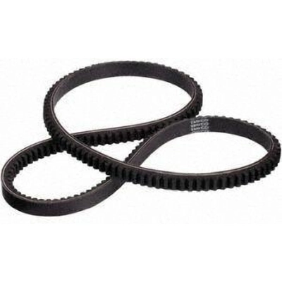 Air Conditioning Compressor Belt by DAYCO - 17350 pa12