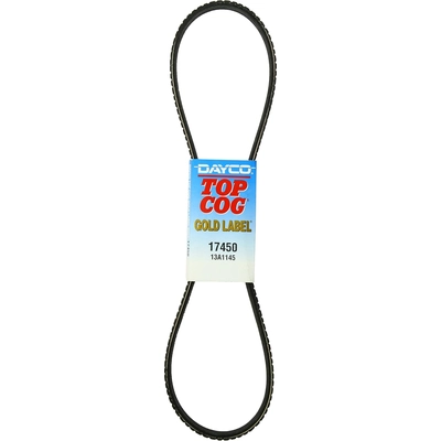 Air Conditioning Compressor Belt by DAYCO - 17450 pa21