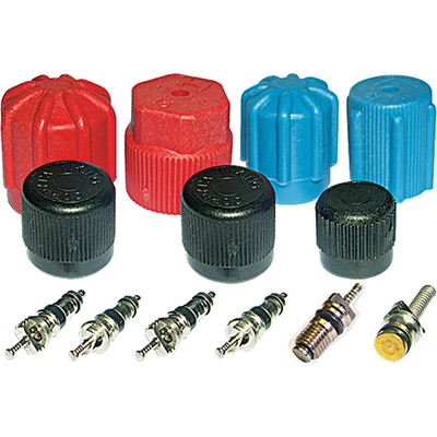 Air Conditioning Service Valve Core by GLOBAL PARTS DISTRIBUTORS - 1311567 pa3