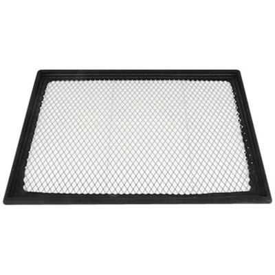 ACDELCO - A1618C - Rectangular Filtre � air pa2