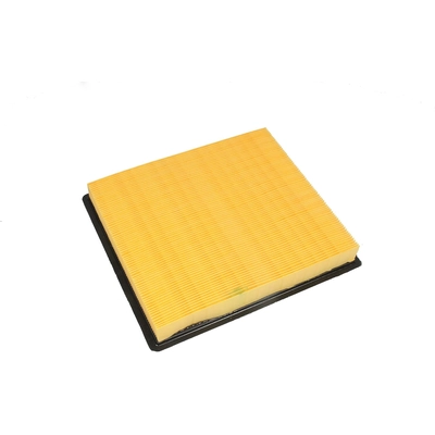 ACDELCO - A3174C - Rectangular Air Filter pa1