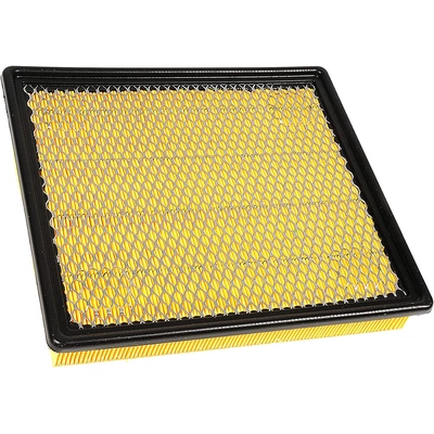 ACDELCO - A3176C - Rectangular Air Filter pa2