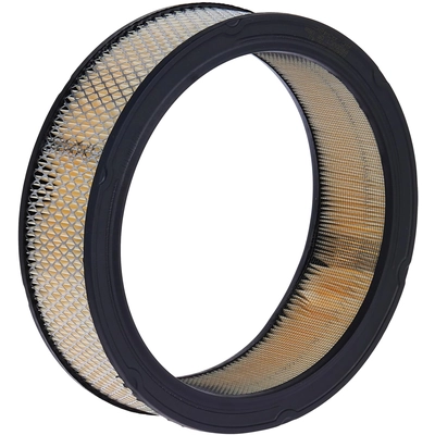 ACDELCO - A348C - Round Air Filter pa2