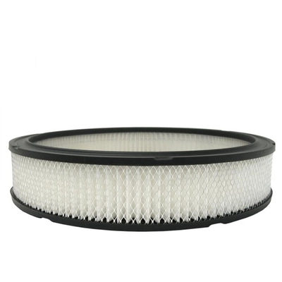 ACDELCO - A355C - Filter pa1