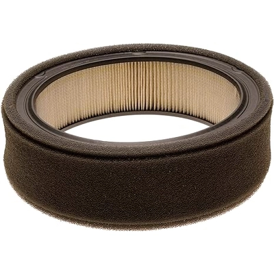 ACDELCO - A477CF - Air Filter pa1