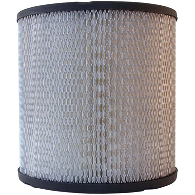 ACDELCO - A925C - Air Filter pa2