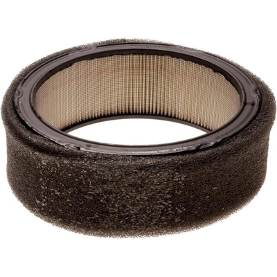 ACDELCO PROFESSIONAL - A333C - Air Filter pa1