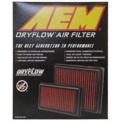 AEM INDUCTION - 28-20129 - Filtre � air pa10