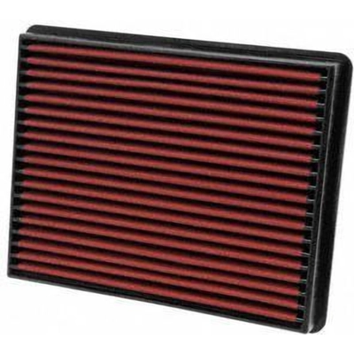 AEM INDUCTION - 28-20129 - Air Filter pa11
