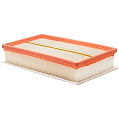 BALDWIN - PA10101 - Air Filter pa1