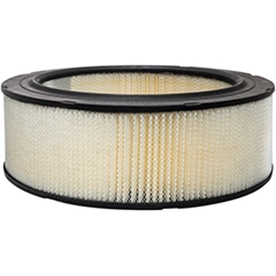 Air Filter by BALDWIN - PA10112 pa1