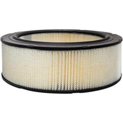Air Filter by BALDWIN - PA10112 pa2