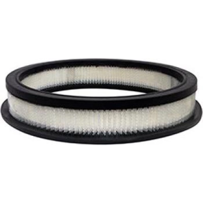 Air Filter by BALDWIN - PA10355 pa2