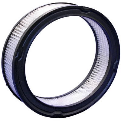 Air Filter by BOSCH - 5229WS pa1