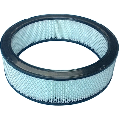 Air Filter by BOSCH - 5544WS pa1