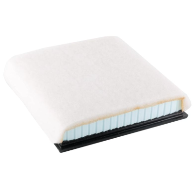 Air Filter by BTK - CAWA10905 pa2