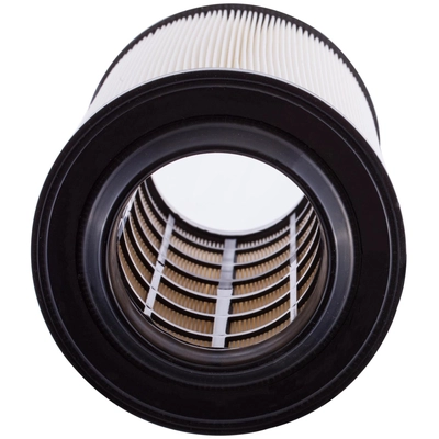 ECOGARD - XA10258 - Oil Filter pa2