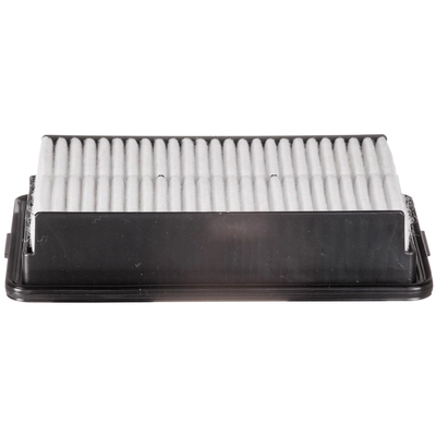 ECOGARD - XA10578 - Air Filter pa1