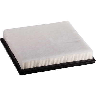 ECOGARD - XA10650 - Air Filter pa2