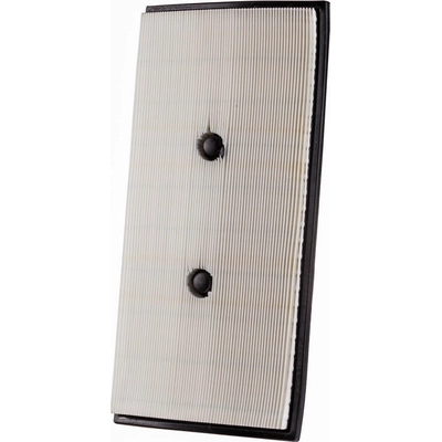Air Filter by ECOGARD - XA11074 pa3