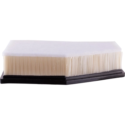 Air Filter by ECOGARD - XA11535 pa2