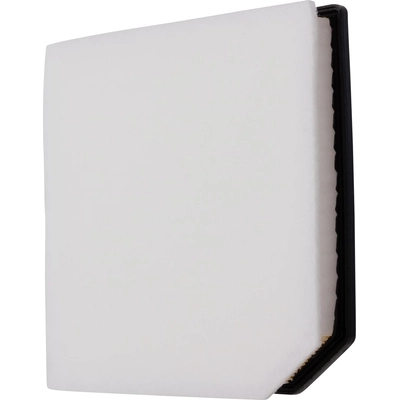 Air Filter by ECOGARD - XA11903 pa1