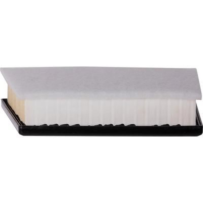 Air Filter by ECOGARD - XA11903 pa2