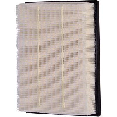 ECOGARD - XA11971 - Air Filter pa1