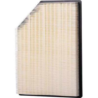 ECOGARD - XA12030 - Air Filter pa1