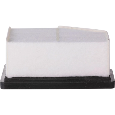 Air Filter by ECOGARD - XA12123 pa1