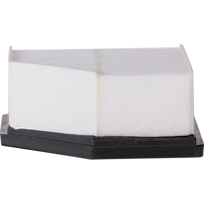 Air Filter by ECOGARD - XA12123 pa2