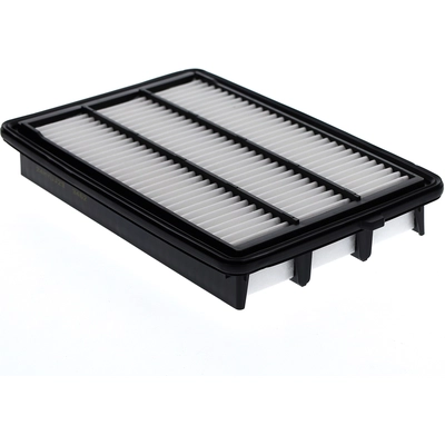 Air Filter by ECOGARD - XA12143 pa1