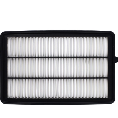 Air Filter by ECOGARD - XA12143 pa2