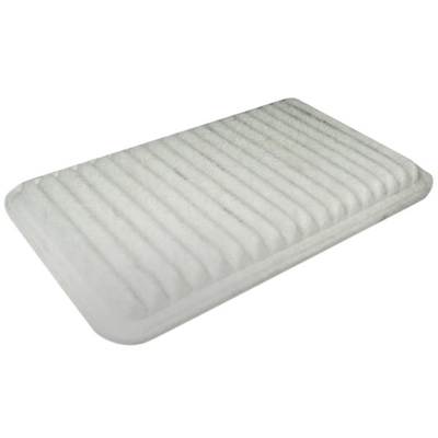 Air Filter by ECOGARD - XA5432 pa1